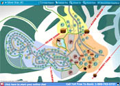 Interactive Siler Star Map