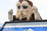 Fernie Resort Activities