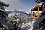 Elkhorn Cabin