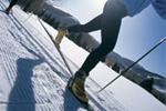 Cross Country Skiing