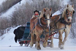 Horse Drawn Sleigh Rides