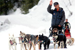 Dog Sledding