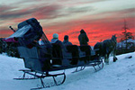 Horse-Drawn Sleigh Rides