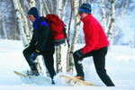 Jackson Hole Snowshoeing