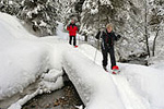 Fernie Snowshoe Tours