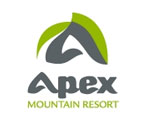 Apex logo