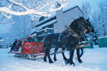 Panorama Sleigh Ride